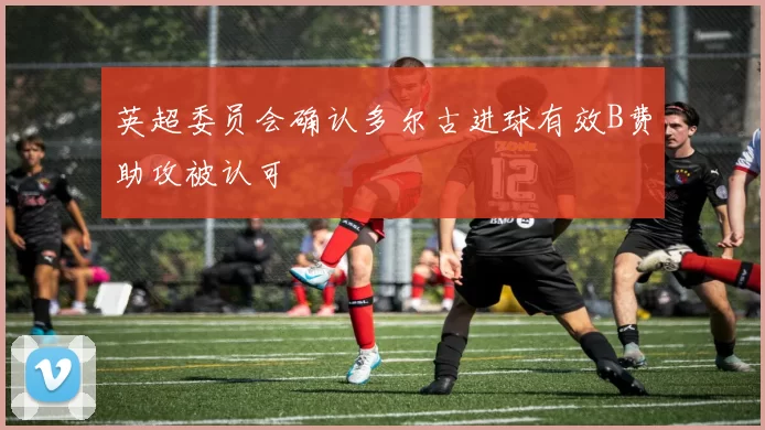 英超委员会确认多尔古进球有效B费助攻被认可