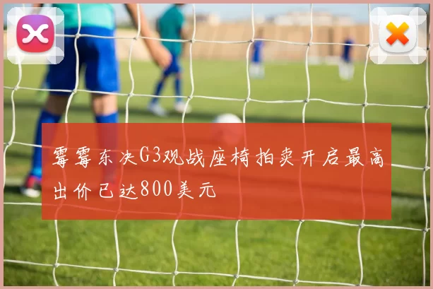 霉霉东决G3观战座椅拍卖开启最高出价已达800美元